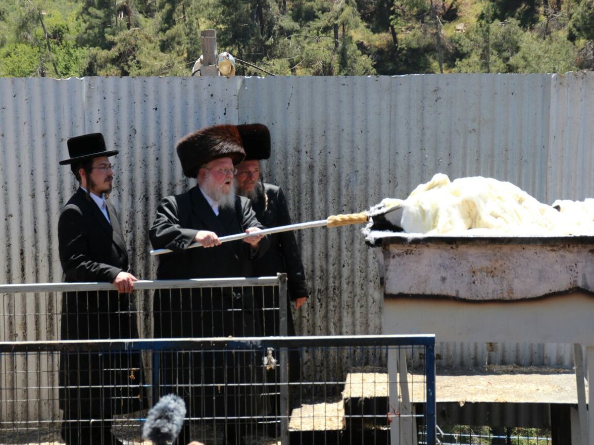 גלריה: ההדלקה של חסידויות סאסוב וקוידינוב במירון