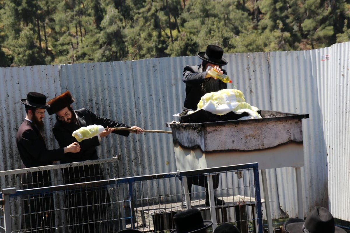 גלריה: ההדלקה של חסידויות סאסוב וקוידינוב במירון