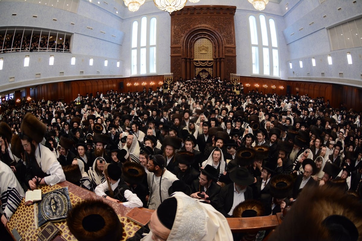 גלריה: כך נראתה שמחת הברית לנכד האדמו"ר מבעלזא