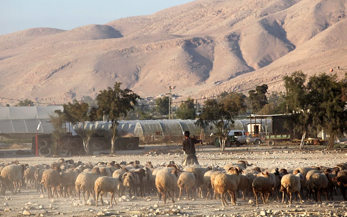 בראש: יזם עם כיס תפוח, אתם העדר שאחריו. אילוסטרציה