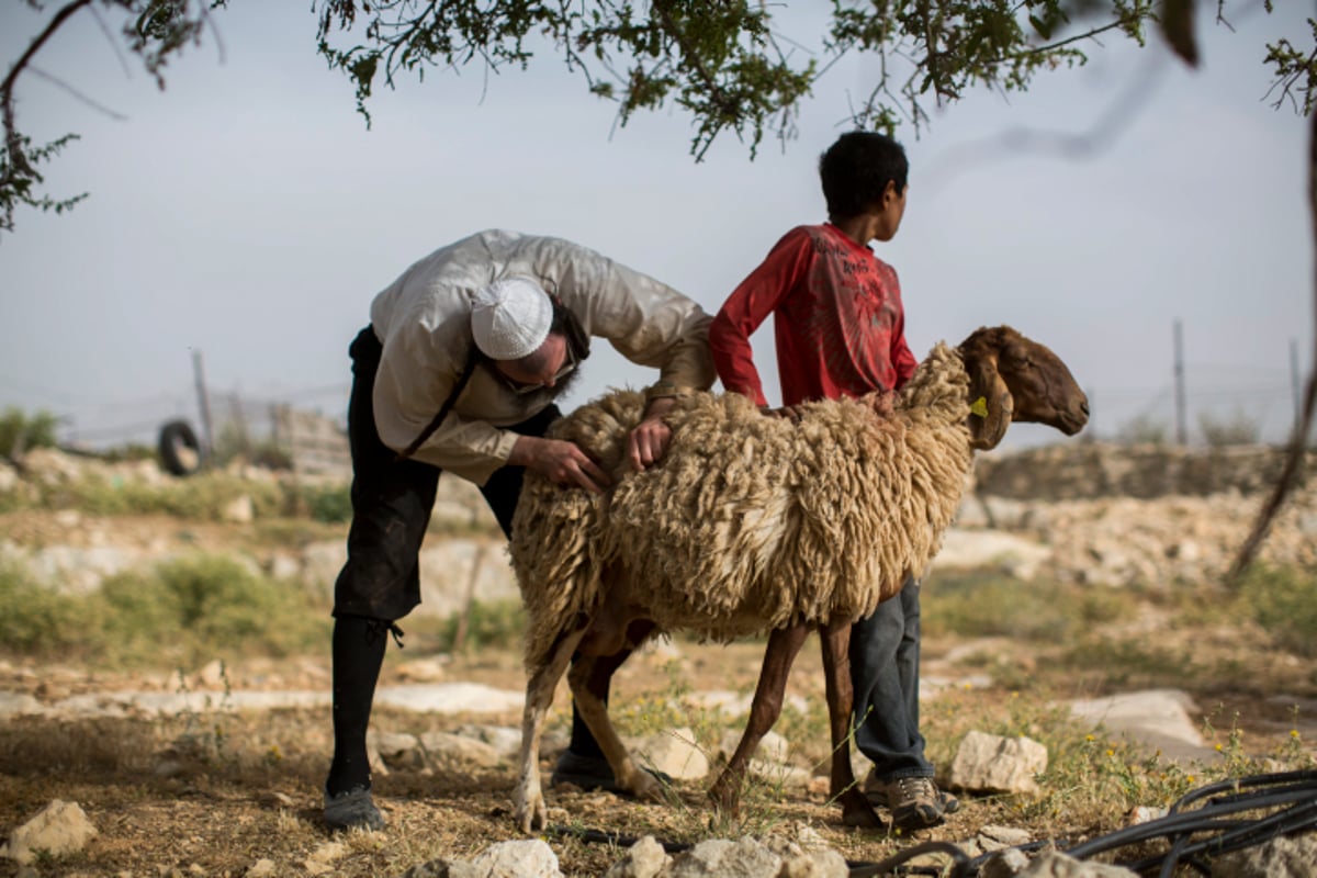 גלריה: כך מקיימים מצוות מצוות "ראשית הגז"