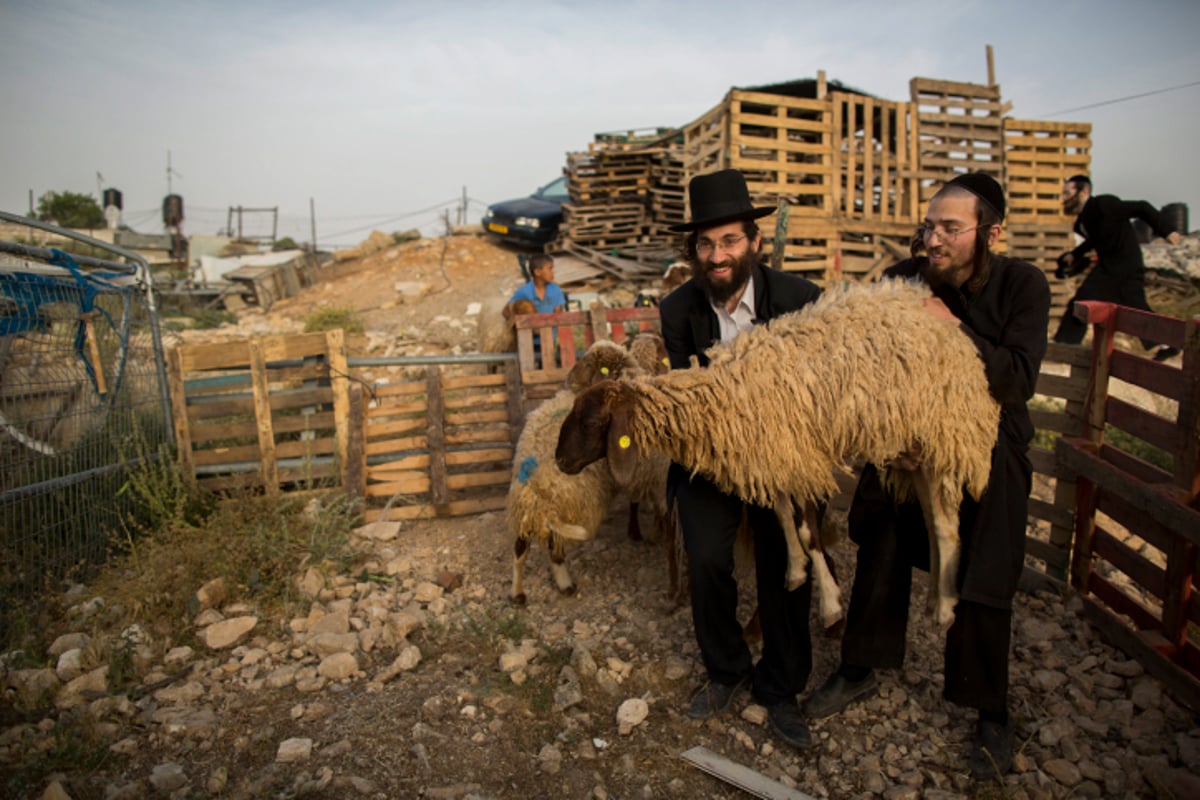 גלריה: כך מקיימים מצוות מצוות "ראשית הגז"