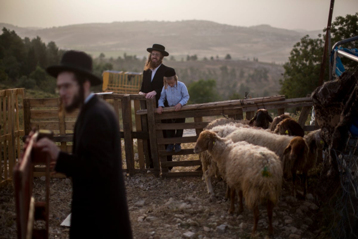 גלריה: כך מקיימים מצוות מצוות "ראשית הגז"