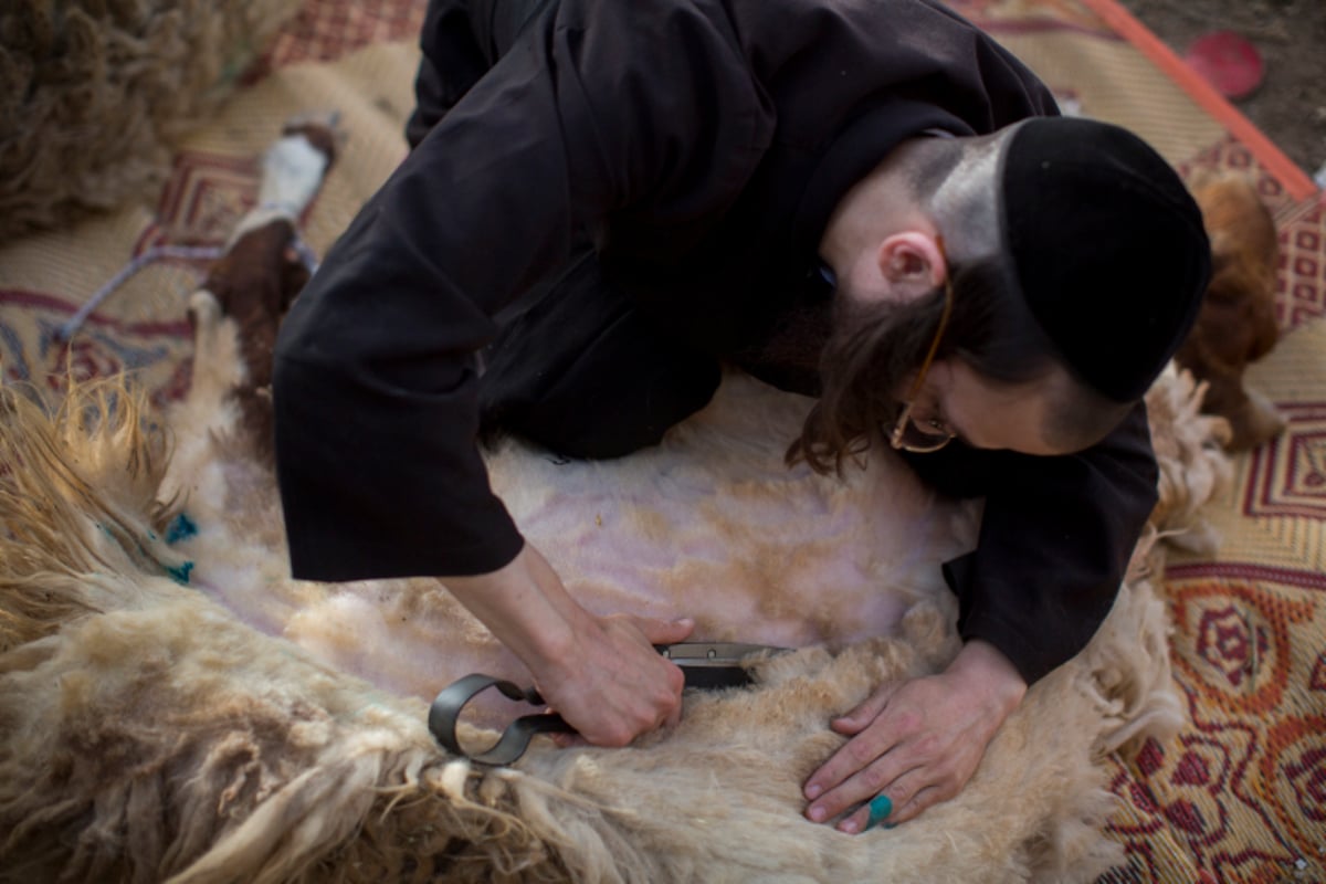 גלריה: כך מקיימים מצוות מצוות "ראשית הגז"