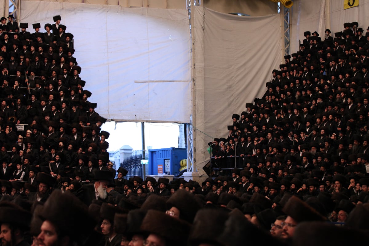 האדמו"ר איחל "מזל טוב" ואלפי החסידים חגגו • צפו