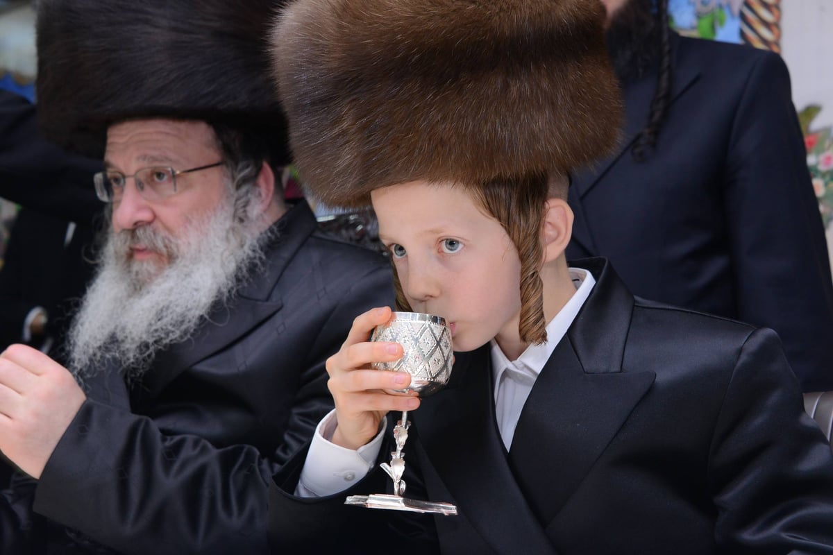 בר מצווה לנין הרבי מסערט ויז'ניץ • גלריה