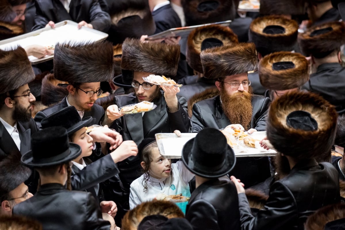 חתונת נכדת האדמו"רים מויז'ניץ וסקווירא • תיעוד ענק