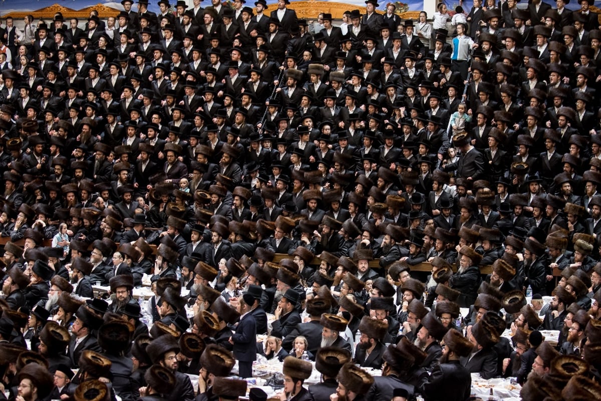 חתונת נכדת האדמו"רים מויז'ניץ וסקווירא • תיעוד ענק