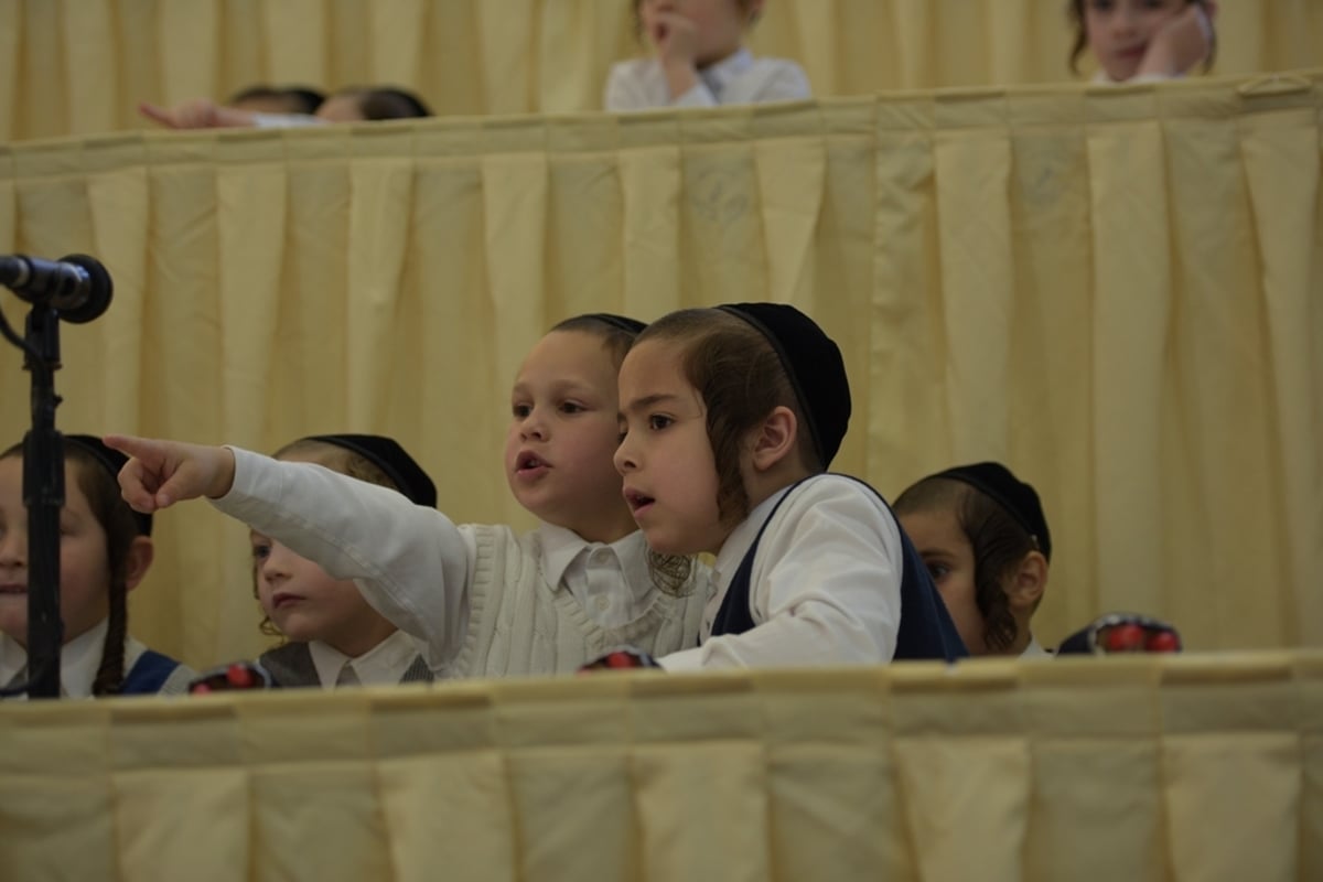 מסיבת "חומש סעודה" בסאטמר • גלריה