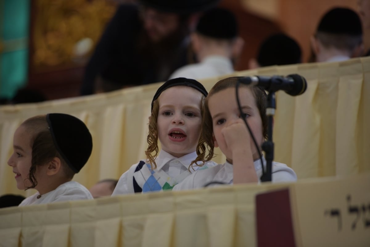 מסיבת "חומש סעודה" בסאטמר • גלריה