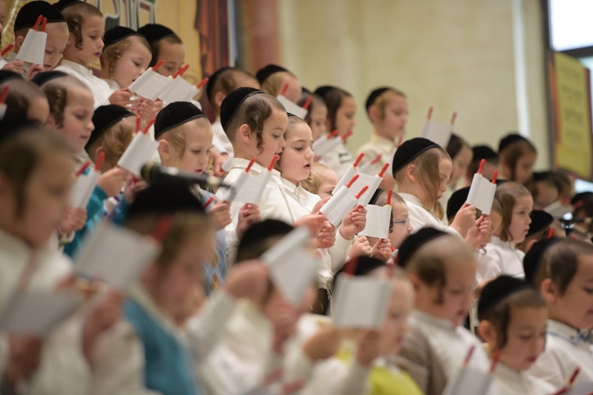 מסיבת "חומש סעודה" בסאטמר • גלריה