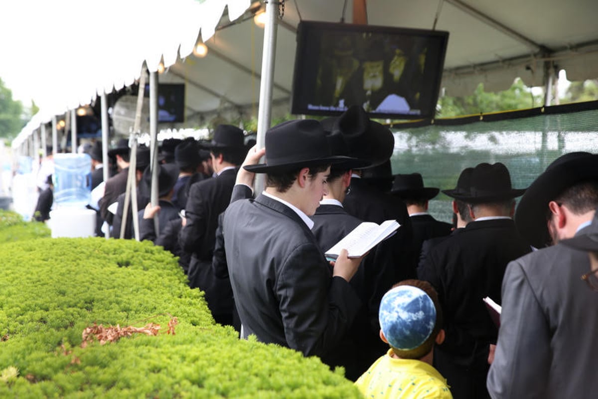 גלריה: קוראים "פדיון נפש" באהל של הרבי מליובאוויטש