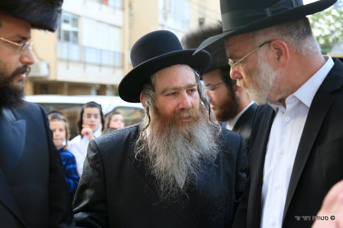 הכנסת ס"ת לישיבת סאטמר בבני ברק • גלריה