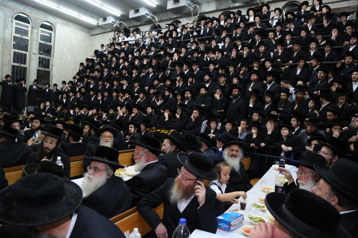 בר מצווה לנכד הרבי מלעלוב • ודאו ותמונות