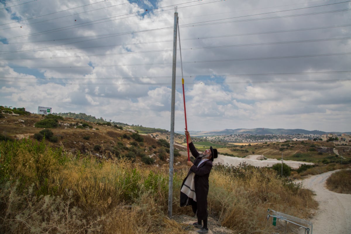 התקנת עירוב בבית שמש • תמונות