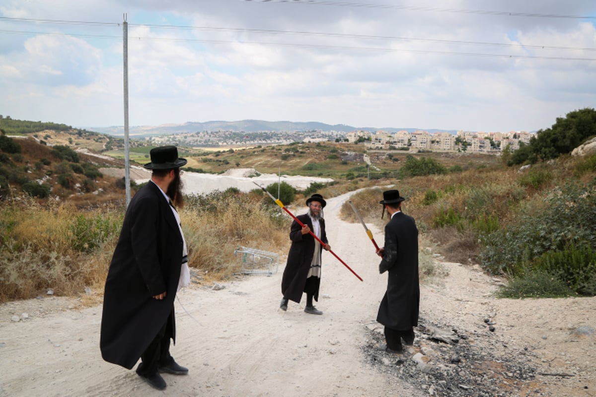 התקנת עירוב בבית שמש • תמונות