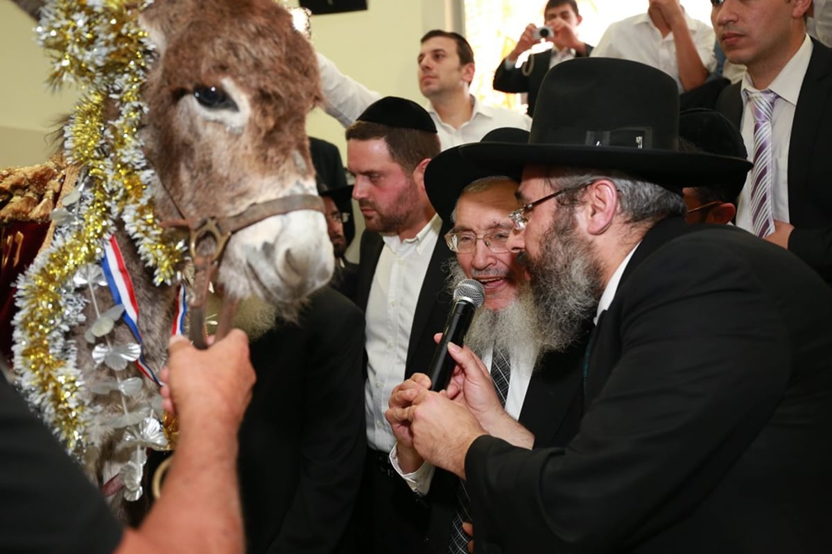 הגר"ש כהן: "הקב"ה רומז לנו שאנחנו צריכים להתחזק בתורה"