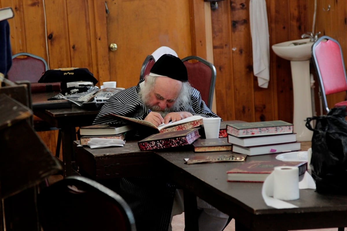 תיעוד: גאב"ד קארלסבורג לומד בנופש בהרים