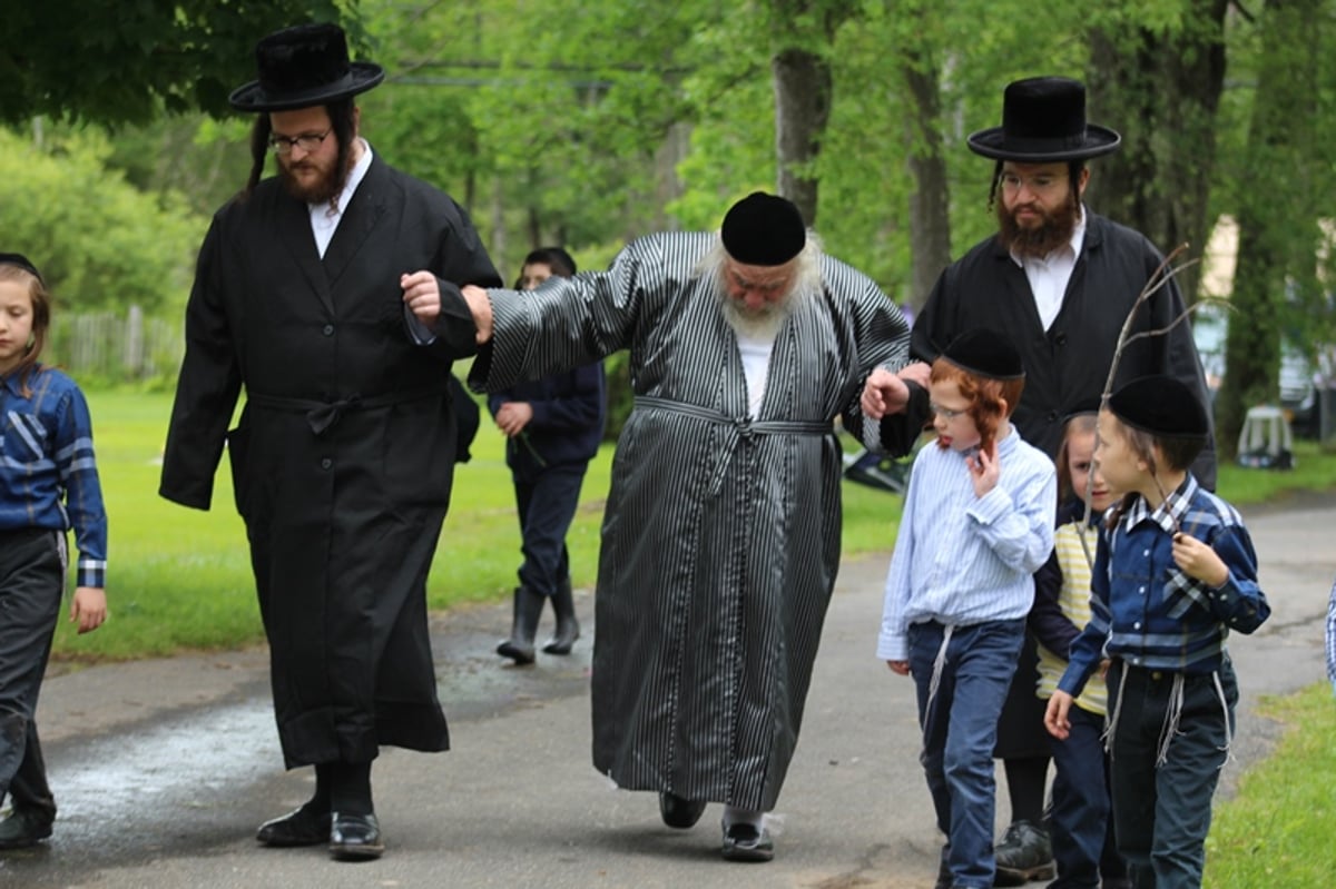 תיעוד: גאב"ד קארלסבורג לומד בנופש בהרים