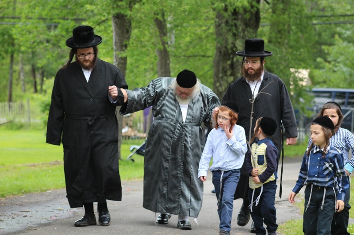 תיעוד: גאב"ד קארלסבורג לומד בנופש בהרים