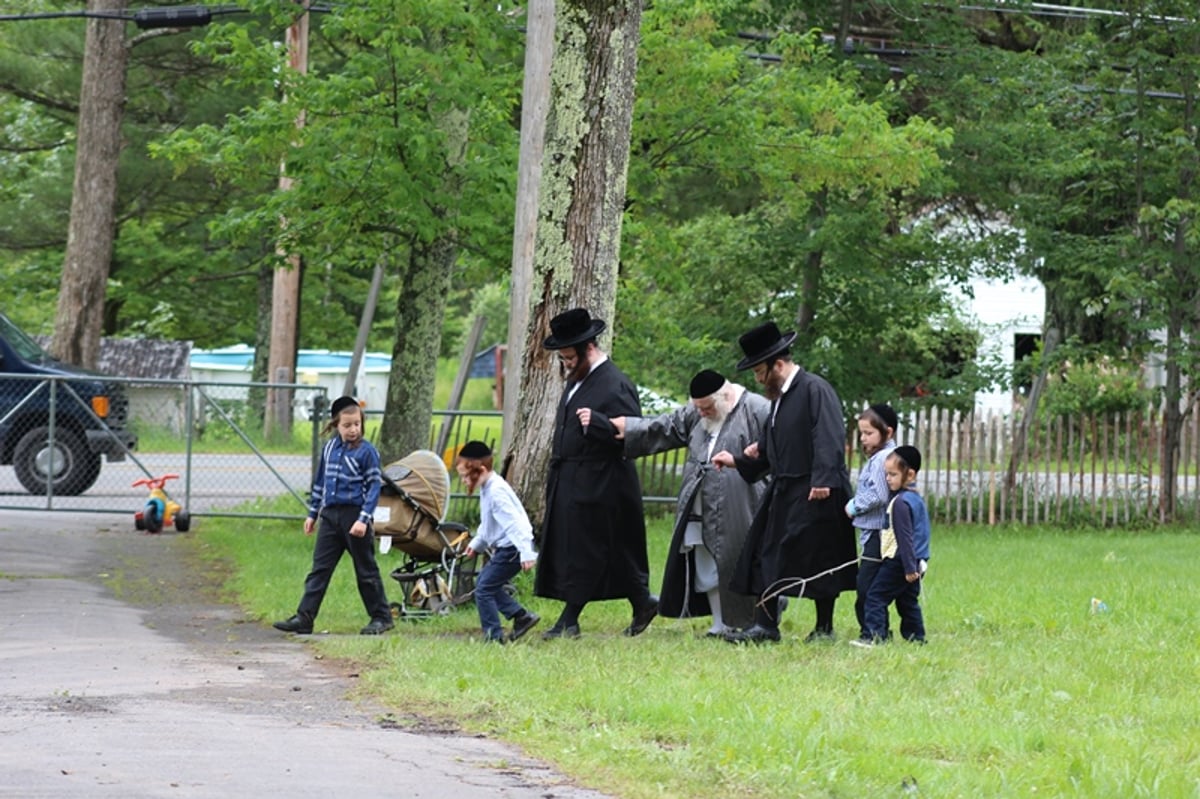 תיעוד: גאב"ד קארלסבורג לומד בנופש בהרים