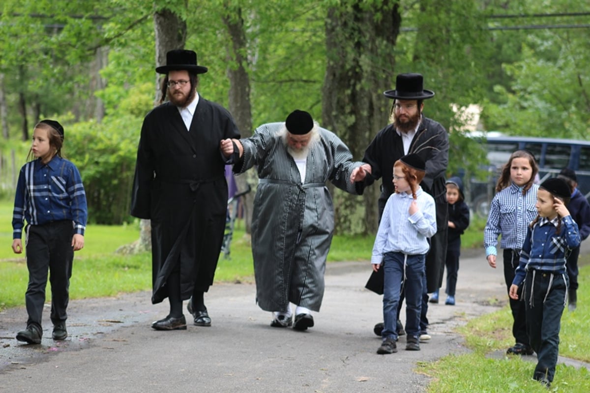 תיעוד: גאב"ד קארלסבורג לומד בנופש בהרים