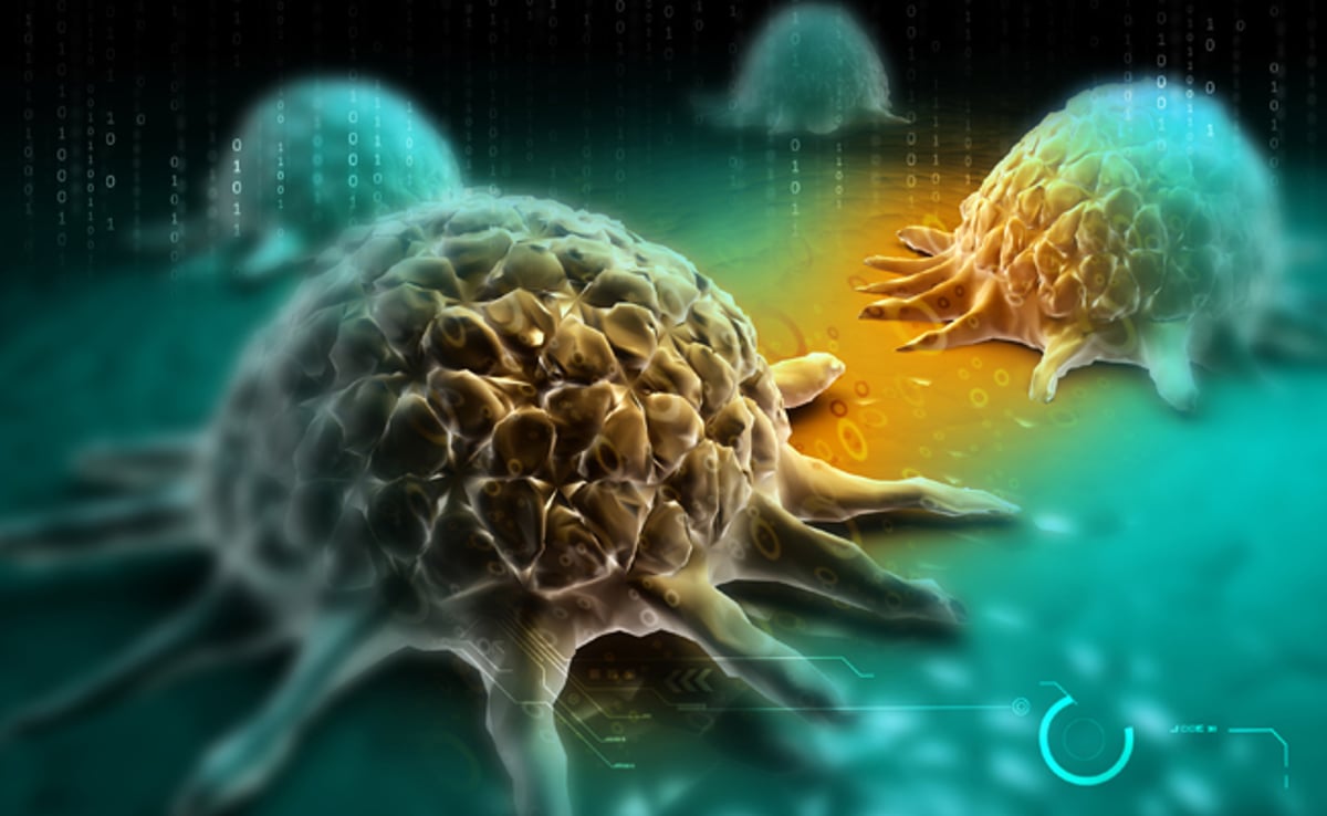 הדמייה דיגיטלית של תאי סרטן