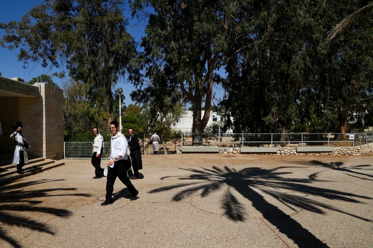 "שבת התאחדות" לבחורי חסידות לעלוב • גלריה