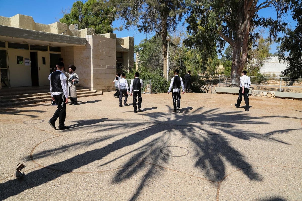 "שבת התאחדות" לבחורי חסידות לעלוב • גלריה