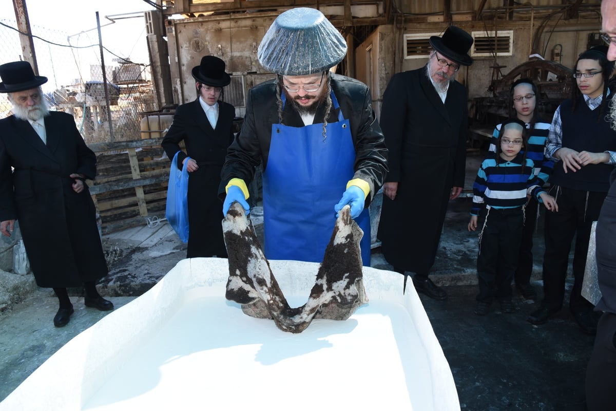 בן הרבי מבעלזא בהכנת רצועות ובתי תפילין לבנו • תיעוד