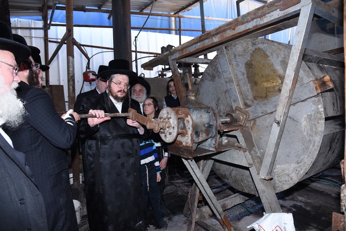 בן הרבי מבעלזא בהכנת רצועות ובתי תפילין לבנו • תיעוד