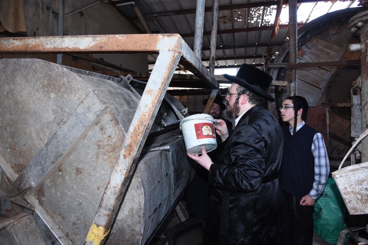 בן הרבי מבעלזא בהכנת רצועות ובתי תפילין לבנו • תיעוד