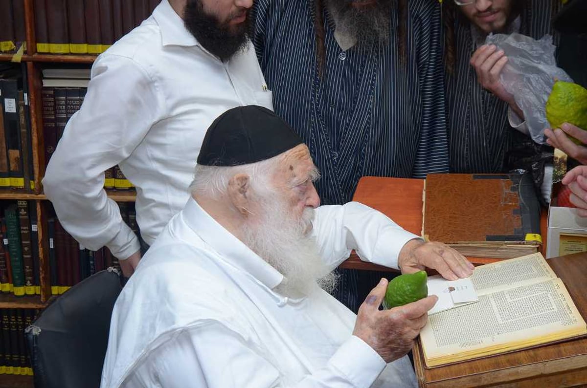 בבין הזמנים: מרן הגר"ח קנייבסקי בחן אתרוגים