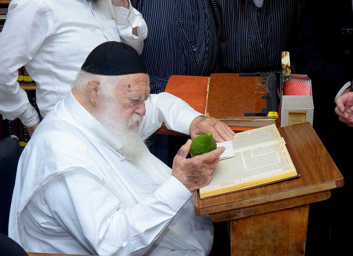 בבין הזמנים: מרן הגר"ח קנייבסקי בחן אתרוגים