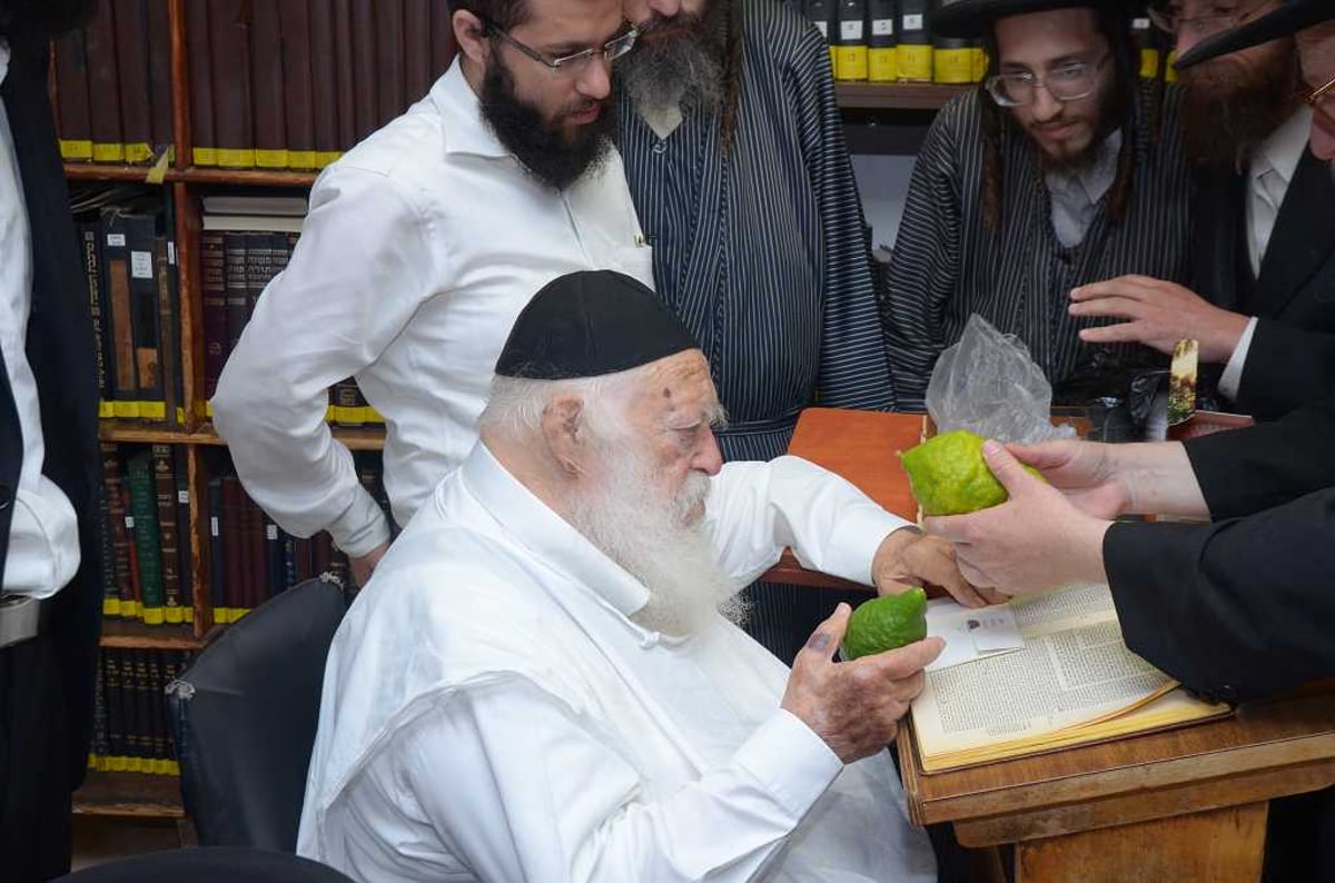 בבין הזמנים: מרן הגר"ח קנייבסקי בחן אתרוגים