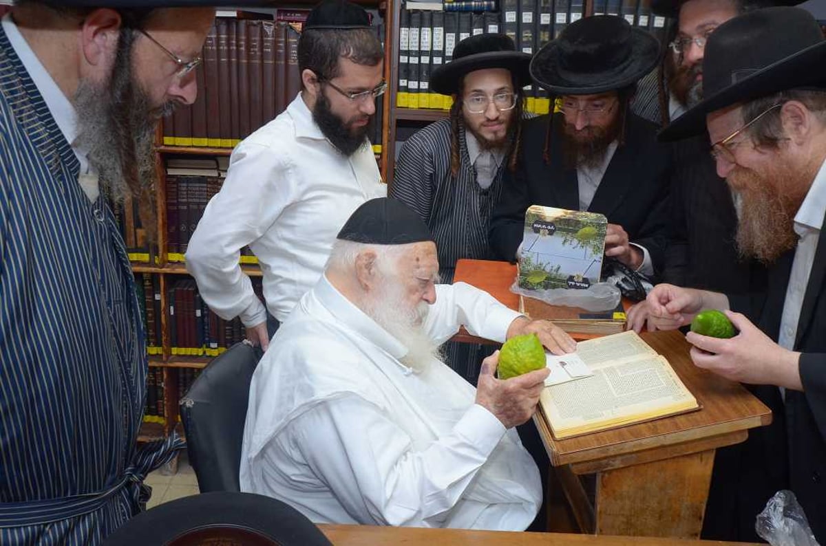 בבין הזמנים: מרן הגר"ח קנייבסקי בחן אתרוגים