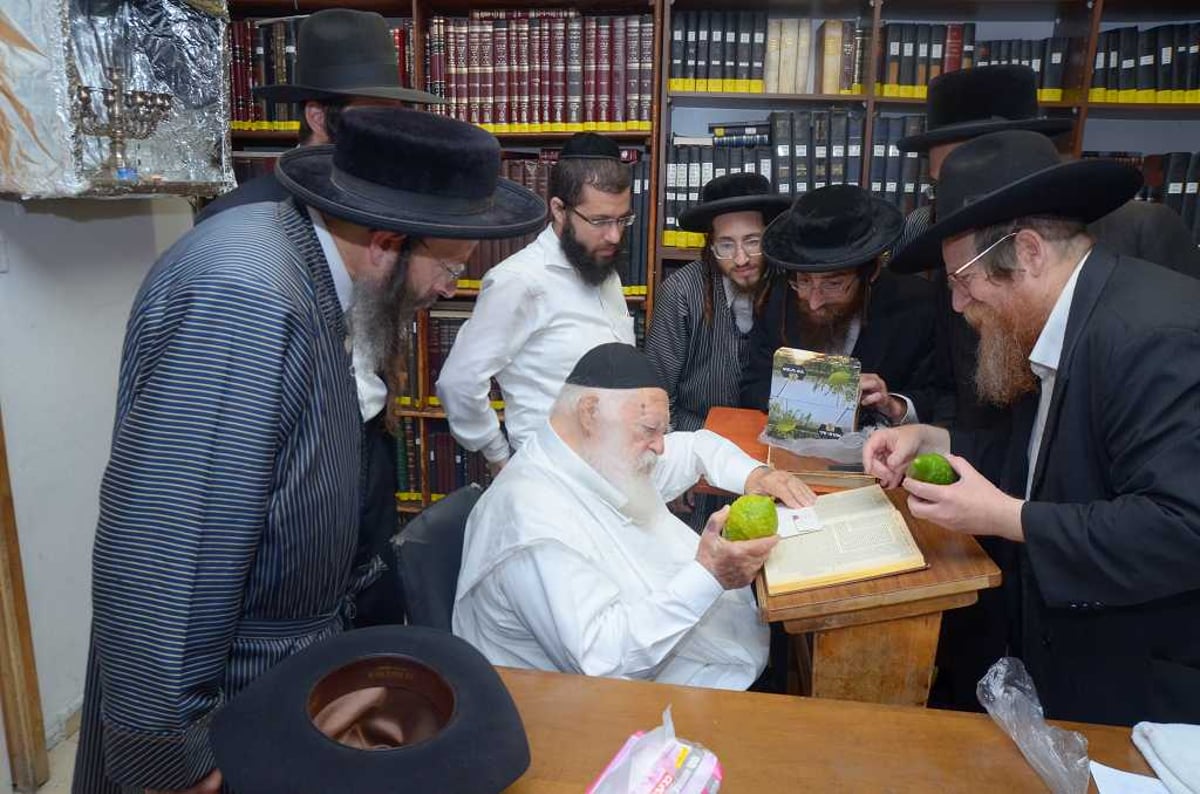 בבין הזמנים: מרן הגר"ח קנייבסקי בחן אתרוגים