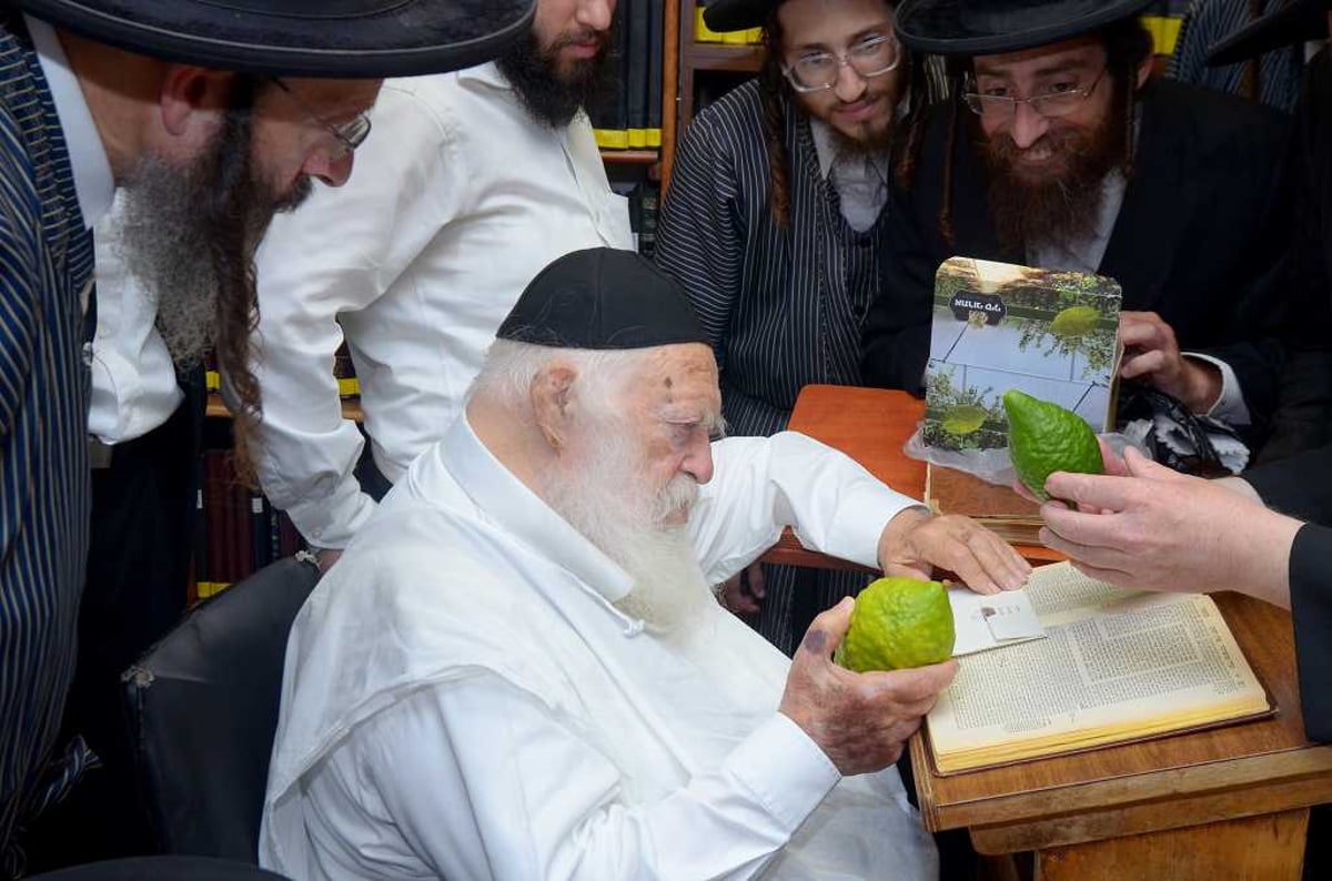 בבין הזמנים: מרן הגר"ח קנייבסקי בחן אתרוגים