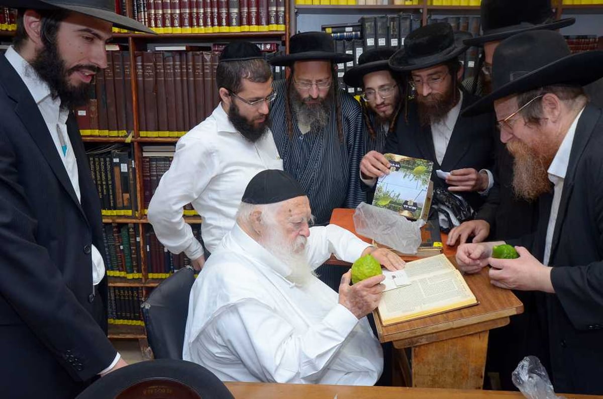 בבין הזמנים: מרן הגר"ח קנייבסקי בחן אתרוגים