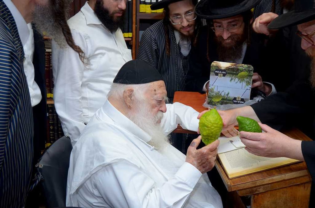 בבין הזמנים: מרן הגר"ח קנייבסקי בחן אתרוגים