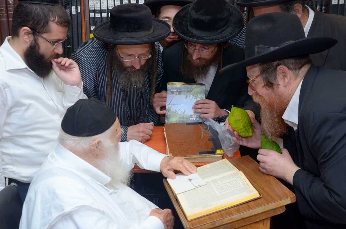 בבין הזמנים: מרן הגר"ח קנייבסקי בחן אתרוגים