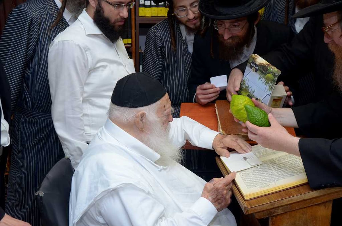 בבין הזמנים: מרן הגר"ח קנייבסקי בחן אתרוגים