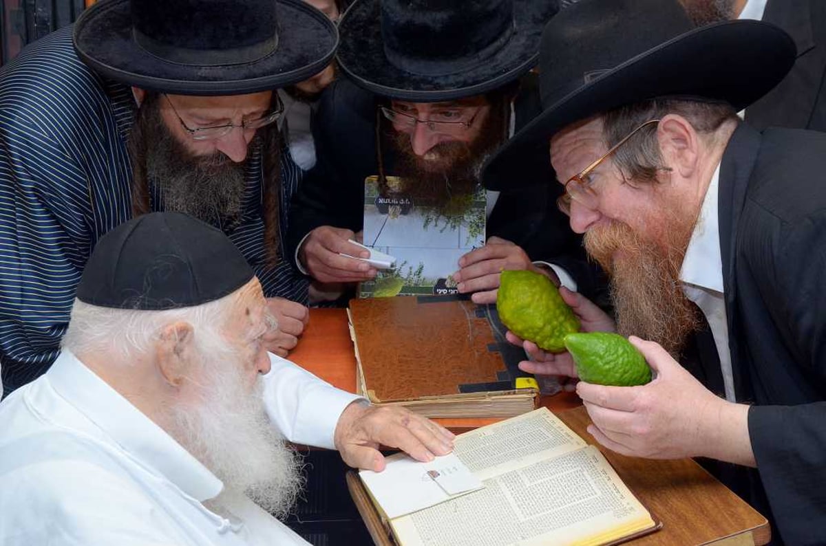 בבין הזמנים: מרן הגר"ח קנייבסקי בחן אתרוגים