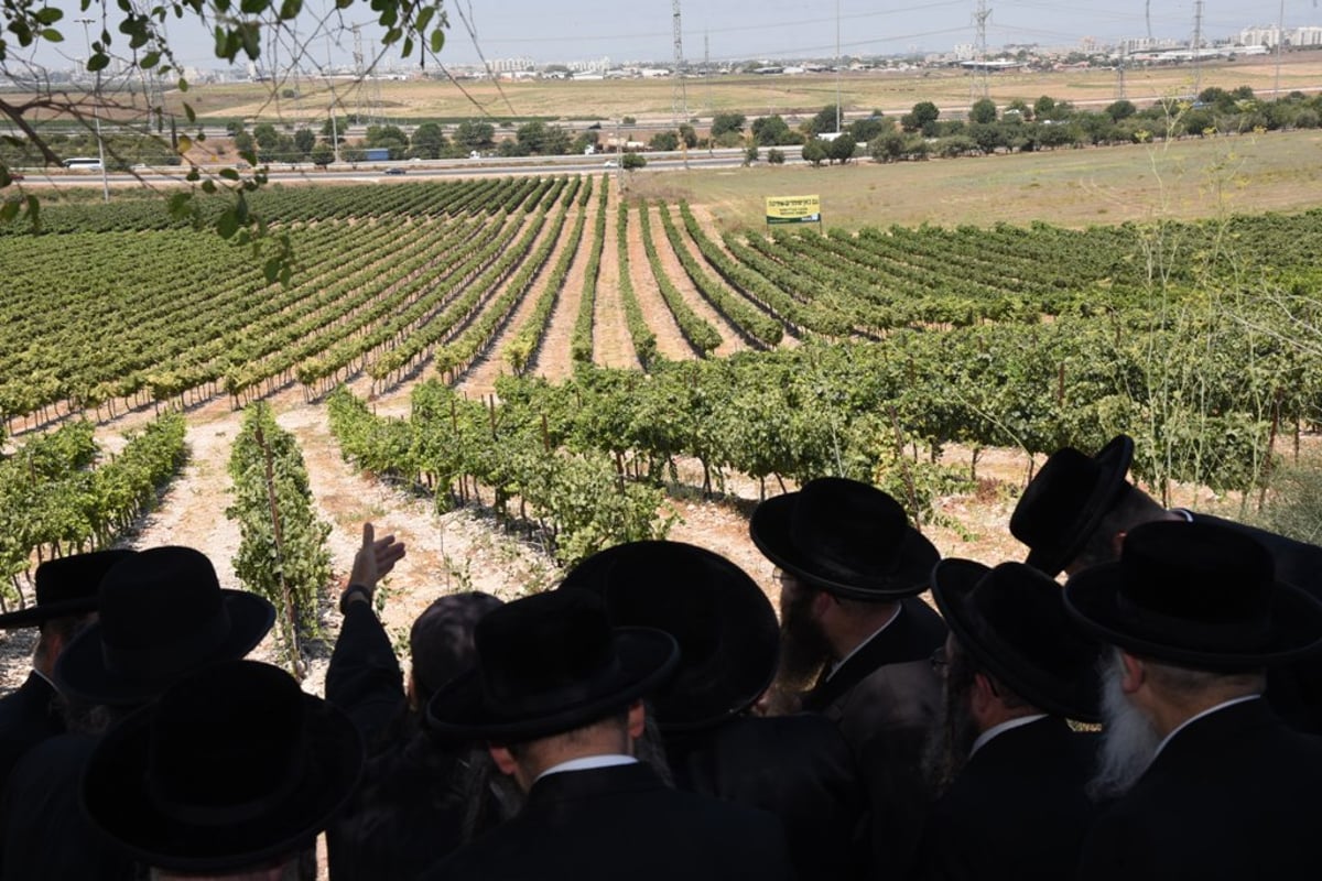 תיעוד מיוחד: ביקור אב"ד סאטמר בישראל