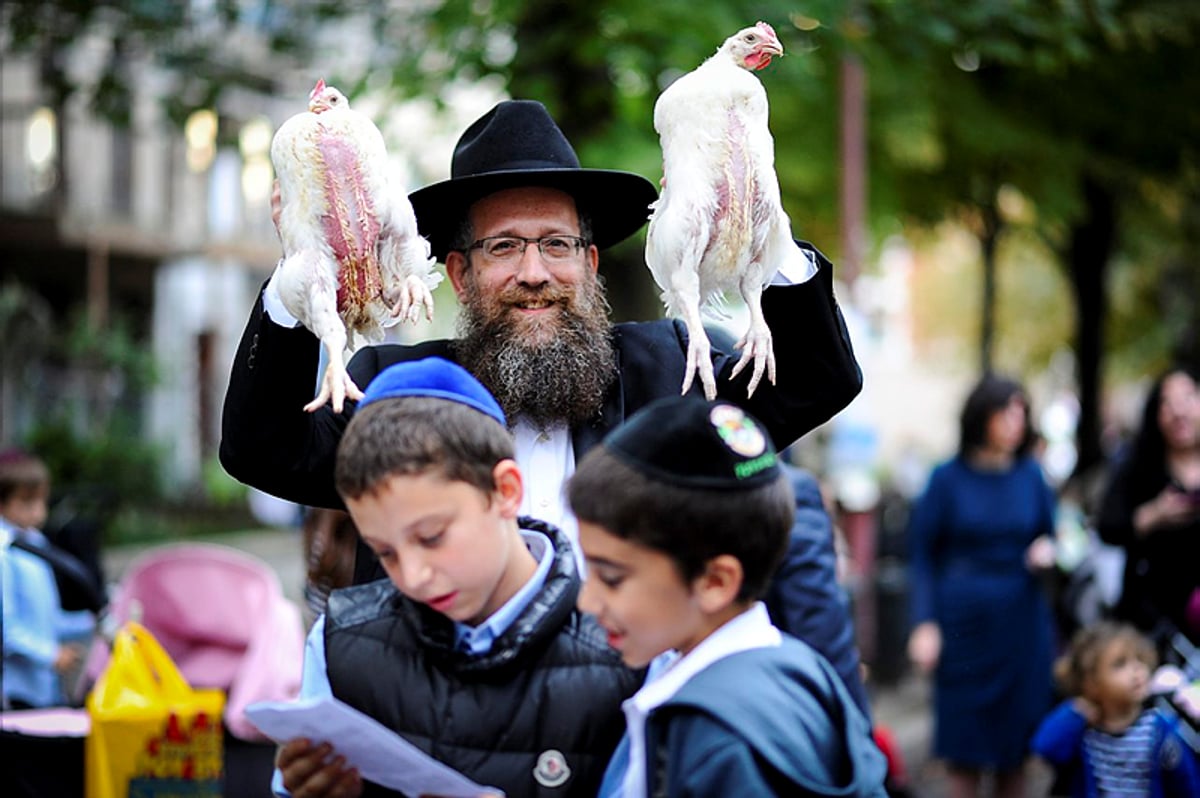 כפרות, אילוסטרציה