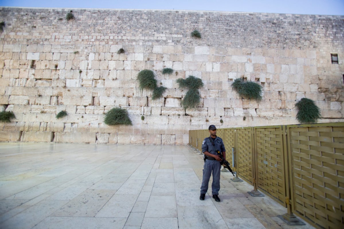 עשרות ספרי תורה הוכנסו בכותל המערבי • גלריה