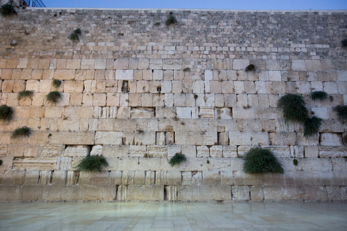 עשרות ספרי תורה הוכנסו בכותל המערבי • גלריה