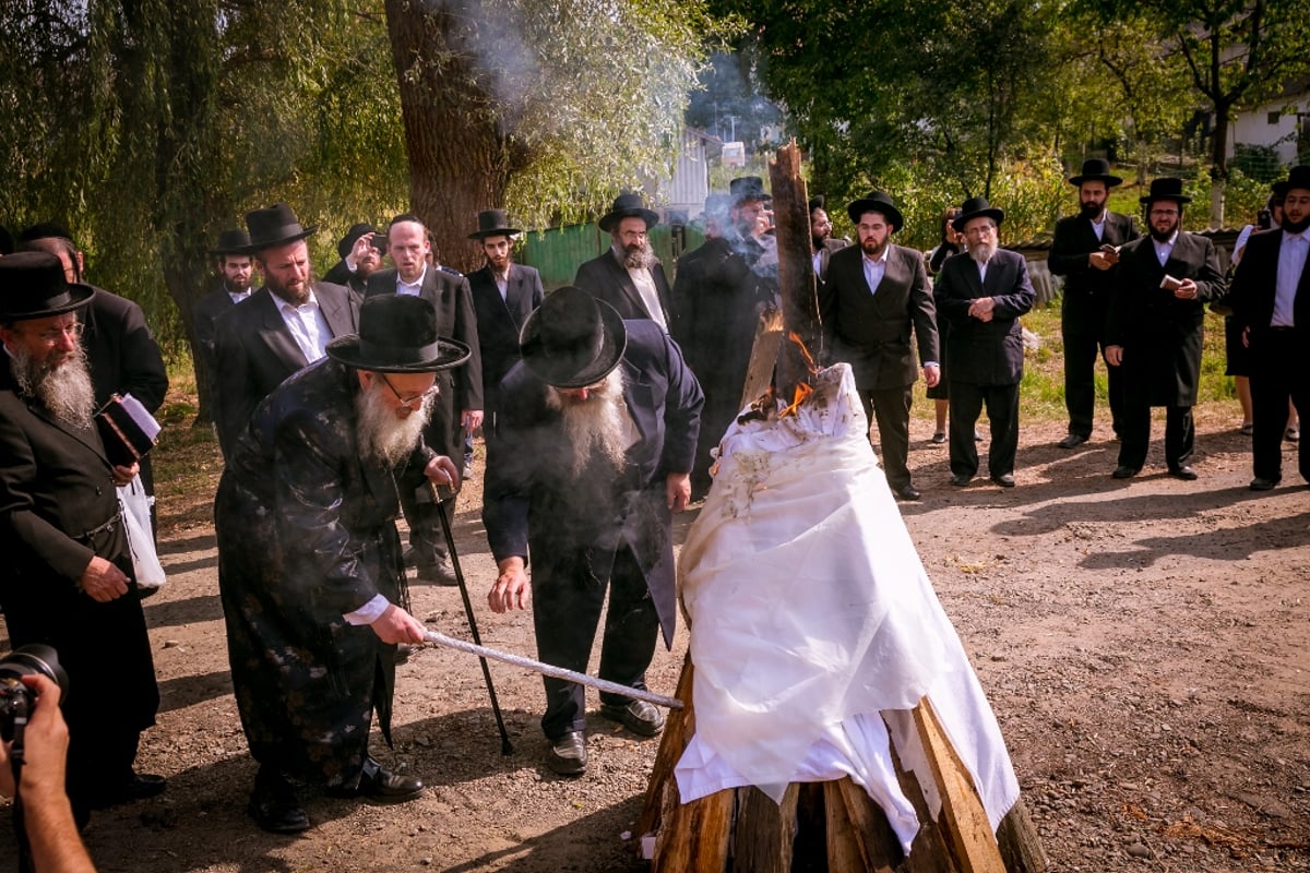 צפו בוידאו: מונה ו"נרננה" שרים לנגידי חסידות ספינקא