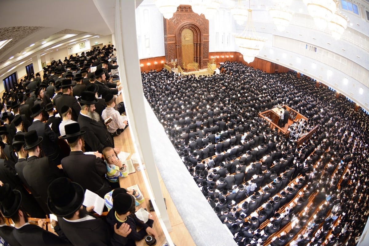 סליחות ראשונות עם האדמו"ר מבעלזא • גלריה