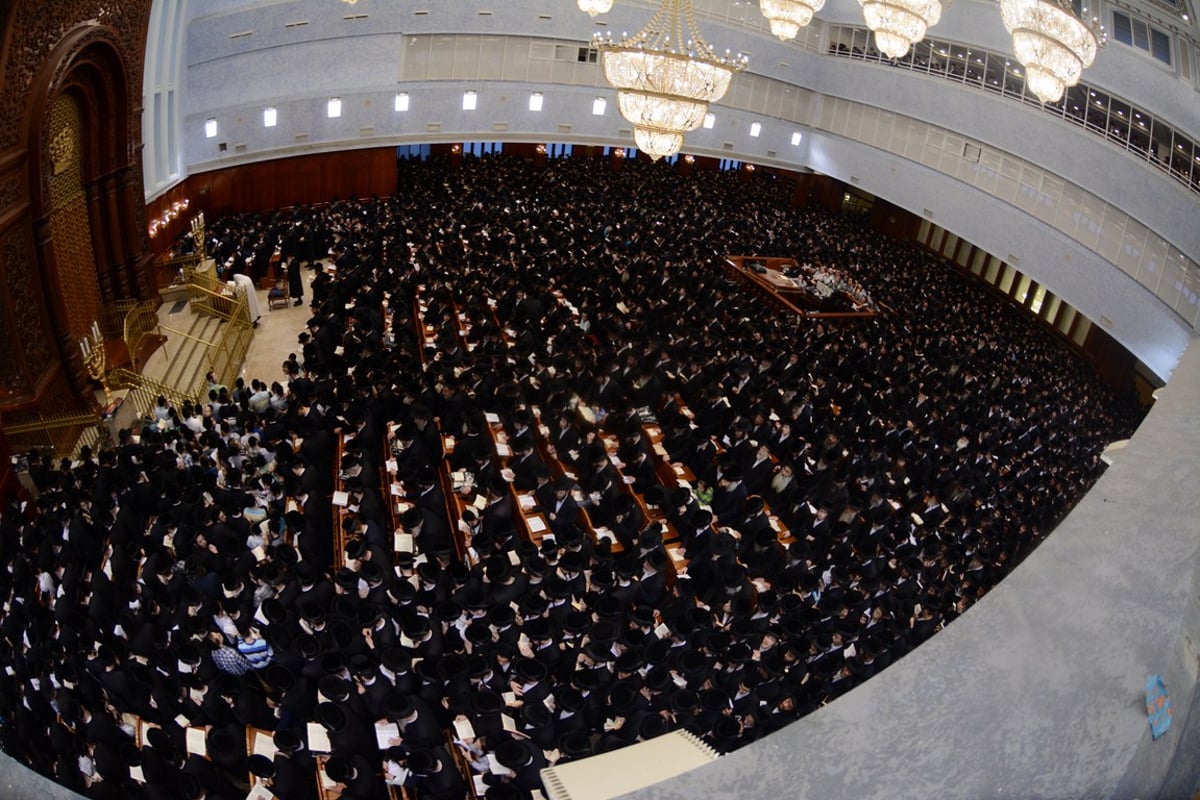 סליחות ראשונות עם האדמו"ר מבעלזא • גלריה